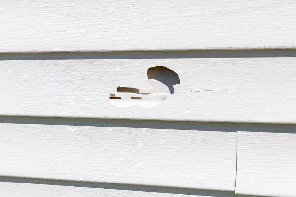 Affordable Siding Repair and Maintenance Services in Hidden Valley Lake, CA